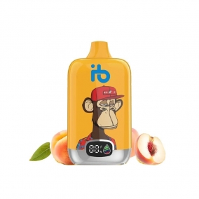 Sok Brzoskwiniowy 12000 Puff | Jednorazowy E-papieros | Owocowy Smak