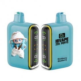 Jeżyna Jagoda 25000 Puffów - Jednorazowy E-papierosy | Smak Leśnych Owoców